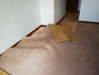 Before画像